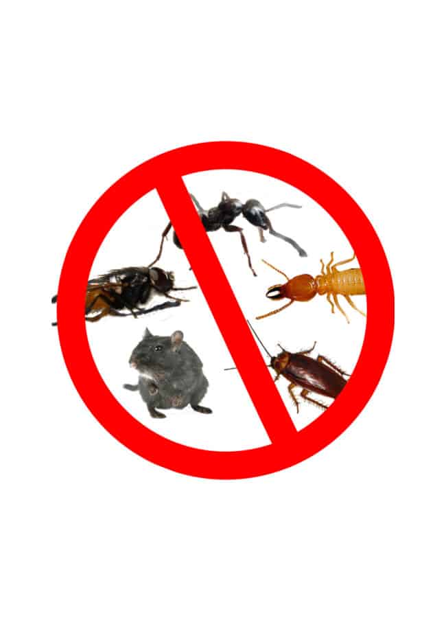 Residential Pest Control Company near me in Conroe TX 01